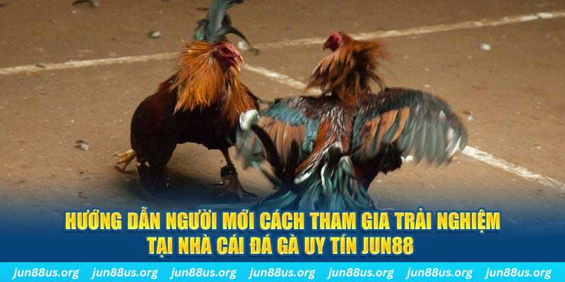 u 888 loi game dot kich ket noi may chu that bai