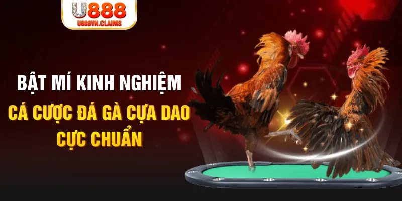 u 888 xổ số miền nam xổ số miền nam