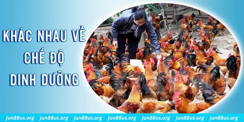 u 888 xổ số miền nam thứ năm hàng tuần