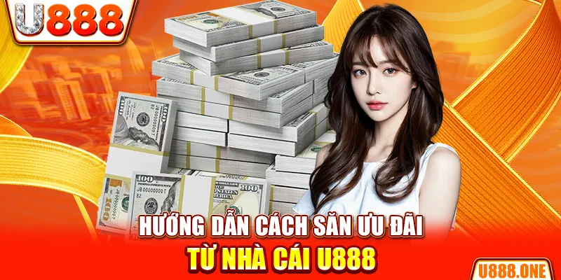 u 888 hòn gà chọi