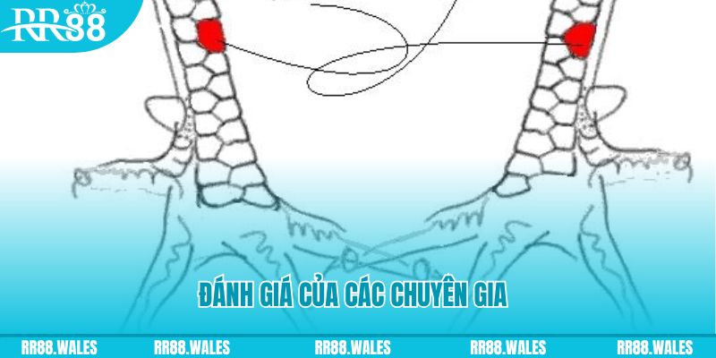 u 888 V8 Game Bài 3d