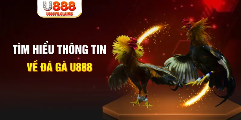 u 888 đăng nhập tiến lên miền nam hàng đầu