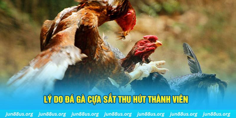 u 888 chiếm slot là gì