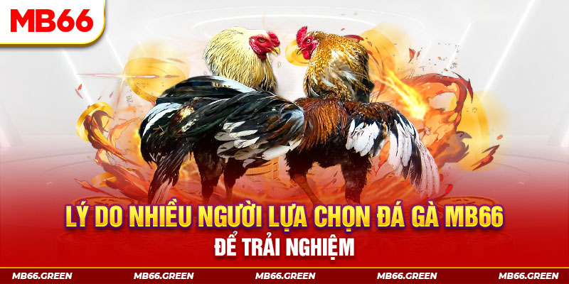 u 888 KA Điện Tử