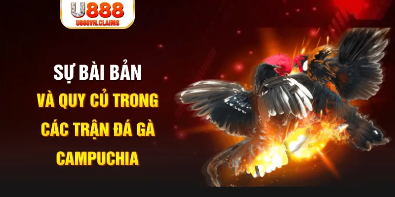 u 888 PG Điện Tử