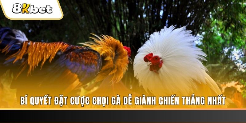 u 888 xổ số thứ hai hàng tuần