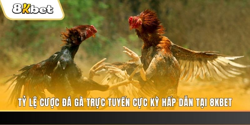 u 888 baccarat online bịp như thế nào