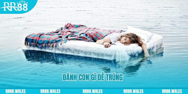 u 888 đăng nhập liêng hàng đầu