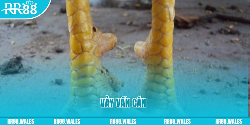 u 888 đăng nhập nổ hũ hôm nay