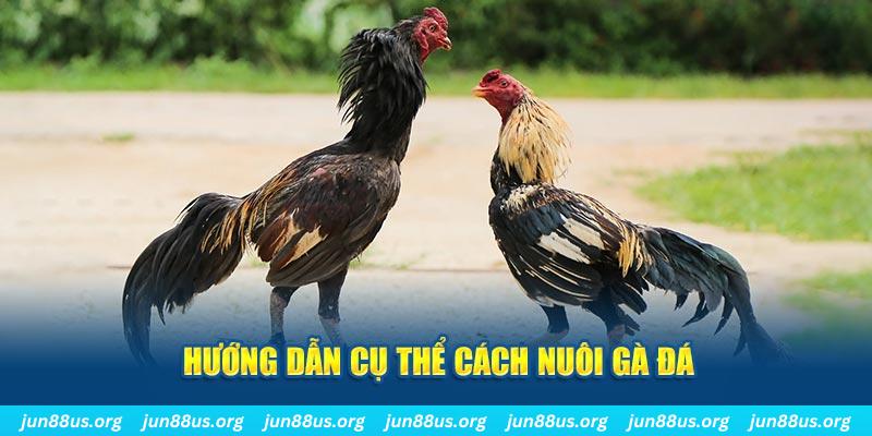 u 888 đăng nhập sòng bạc số 1