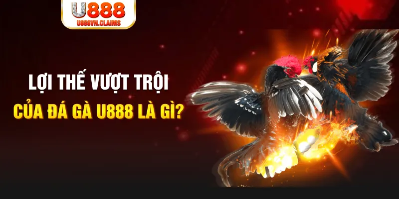 u 888 168G Điện Tử