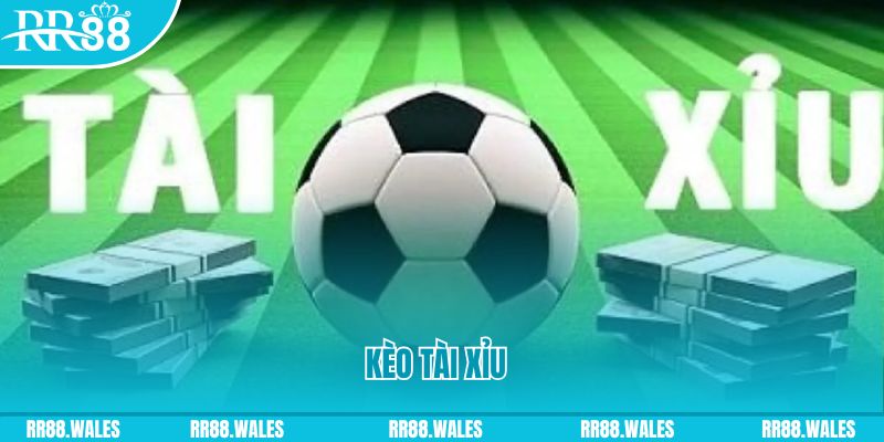 u 888 gà chọi hoà phong